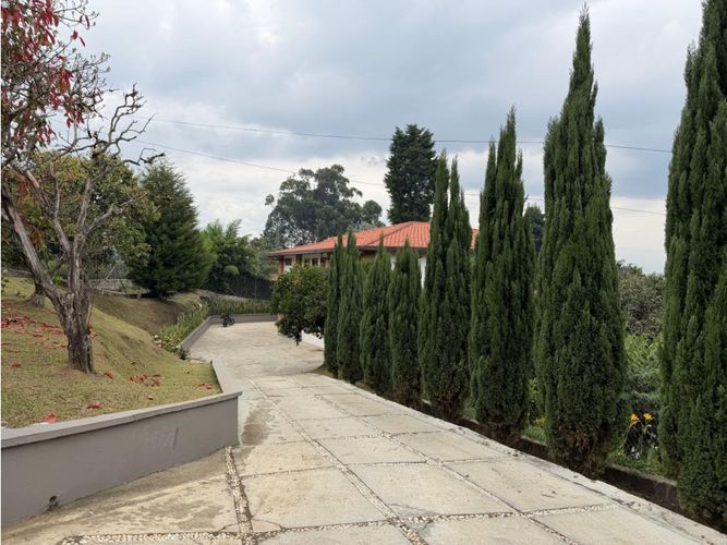 Casa de 4 alcobas en arriendo en La Inmaculada, Envigado, 700 m² · foto 8 de 24