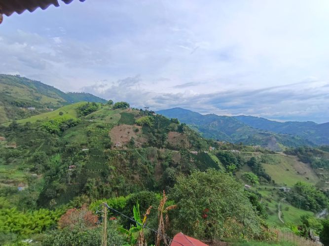 Finca en venta en Versalles, Manizales, 378 m² · foto 9 de 23