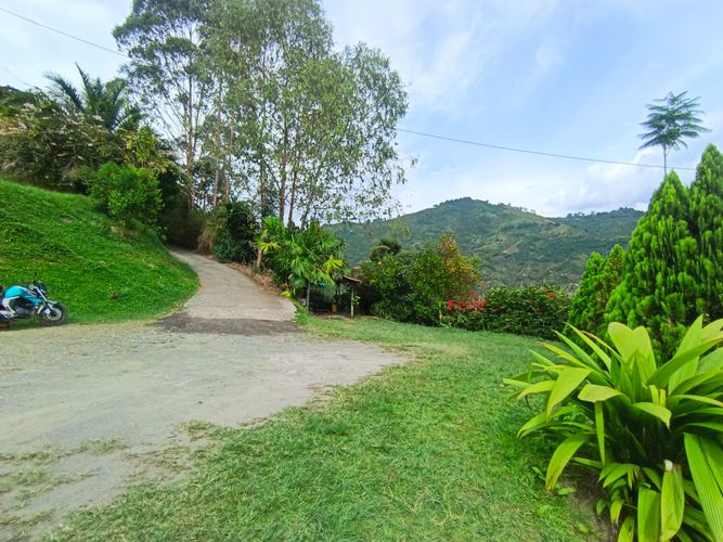 Finca en venta en Versalles, Manizales, 378 m² · foto 17 de 23