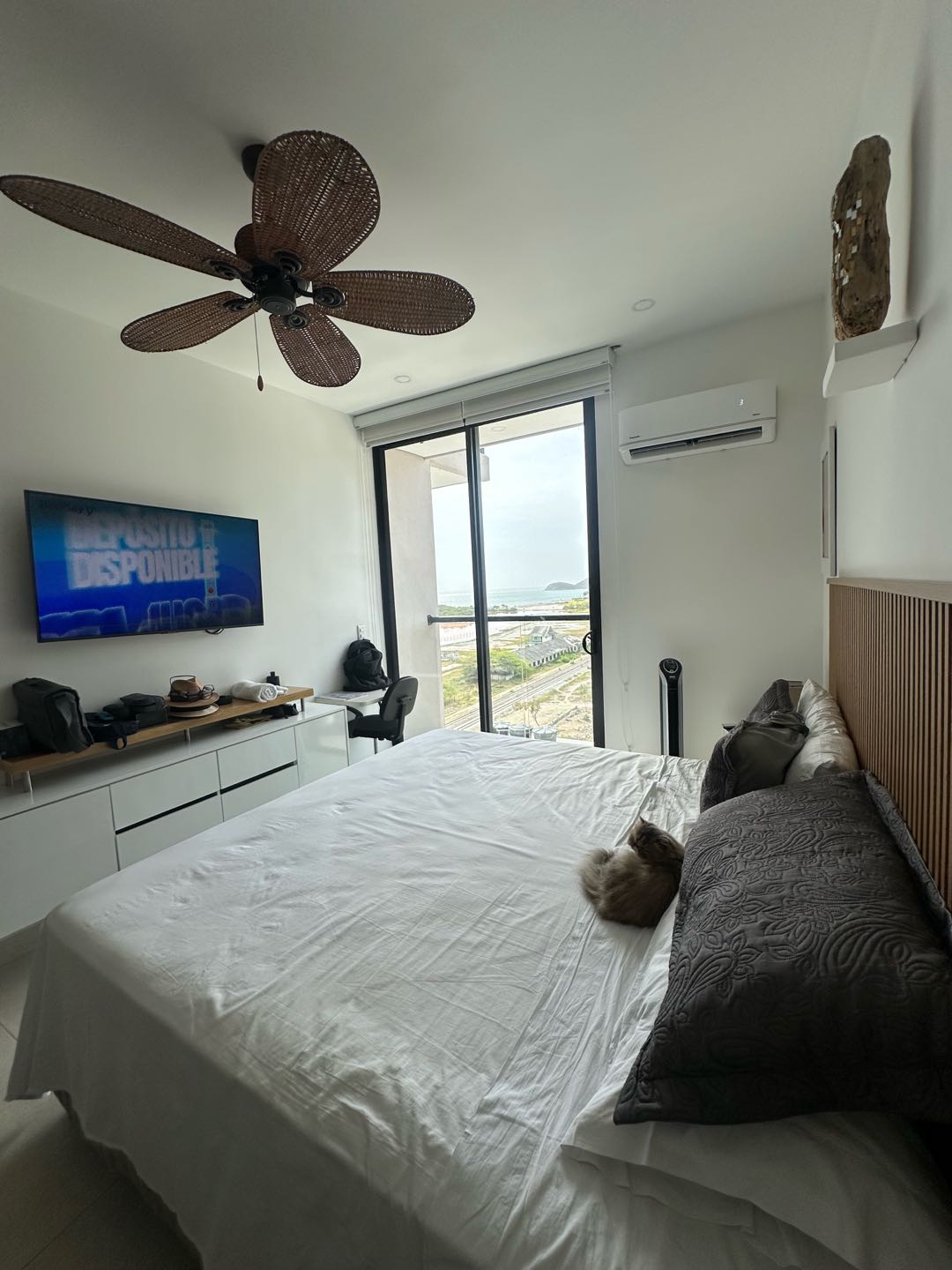 Apartamento en venta en Pozos Colorados, Santa Marta · foto 10 de 12