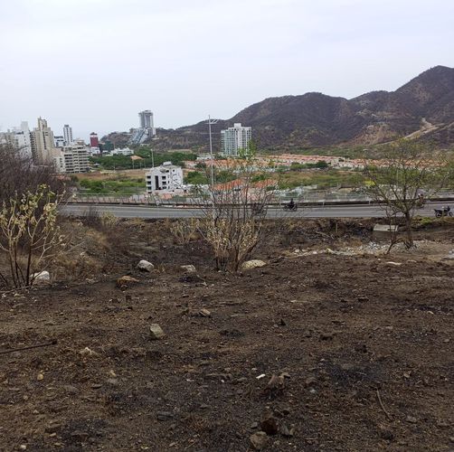 Lote en venta en Rodadero Reservado, Santa Marta, 3600 m² · foto 3 de 4