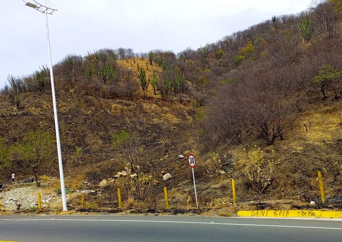 Lote en venta en Rodadero Reservado, Santa Marta, 3600 m² · foto 4 de 4
