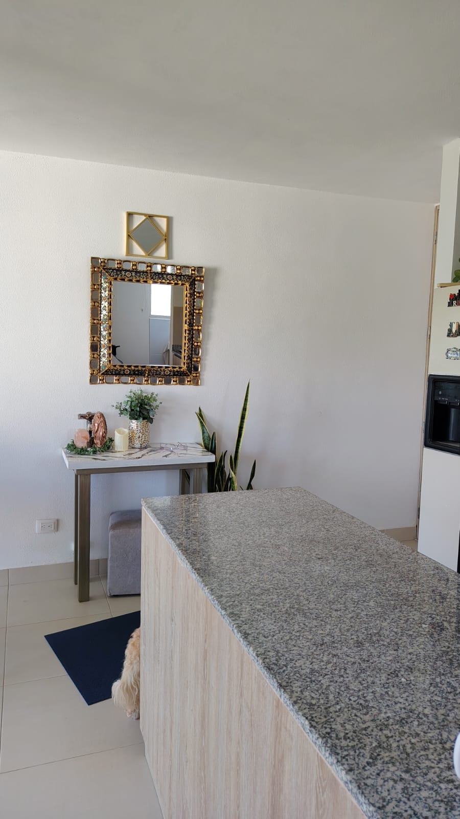 Apartamento en venta en Santa Marta · foto 2 de 14