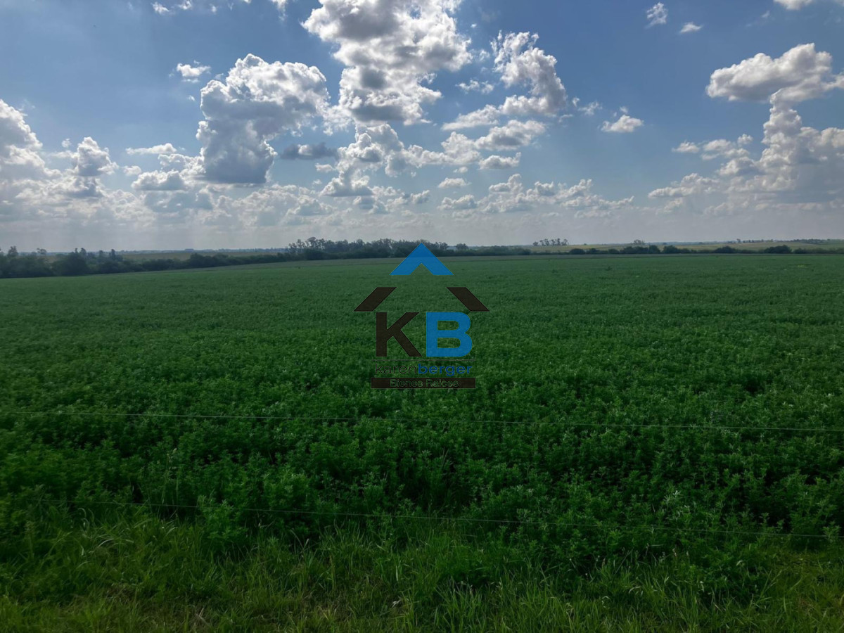 Chacra o Campo en Venta - foto 3