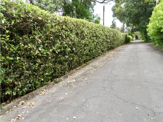 Casa de 5 alcobas en venta en Bella Suiza, Villavicencio, 320 m² · foto 8 de 18