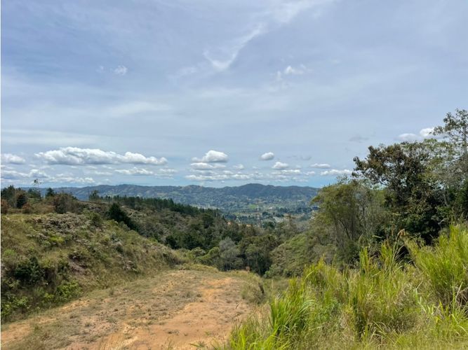Lote en venta en La Mosquita, Rionegro, 1700 m² · foto 2 de 6