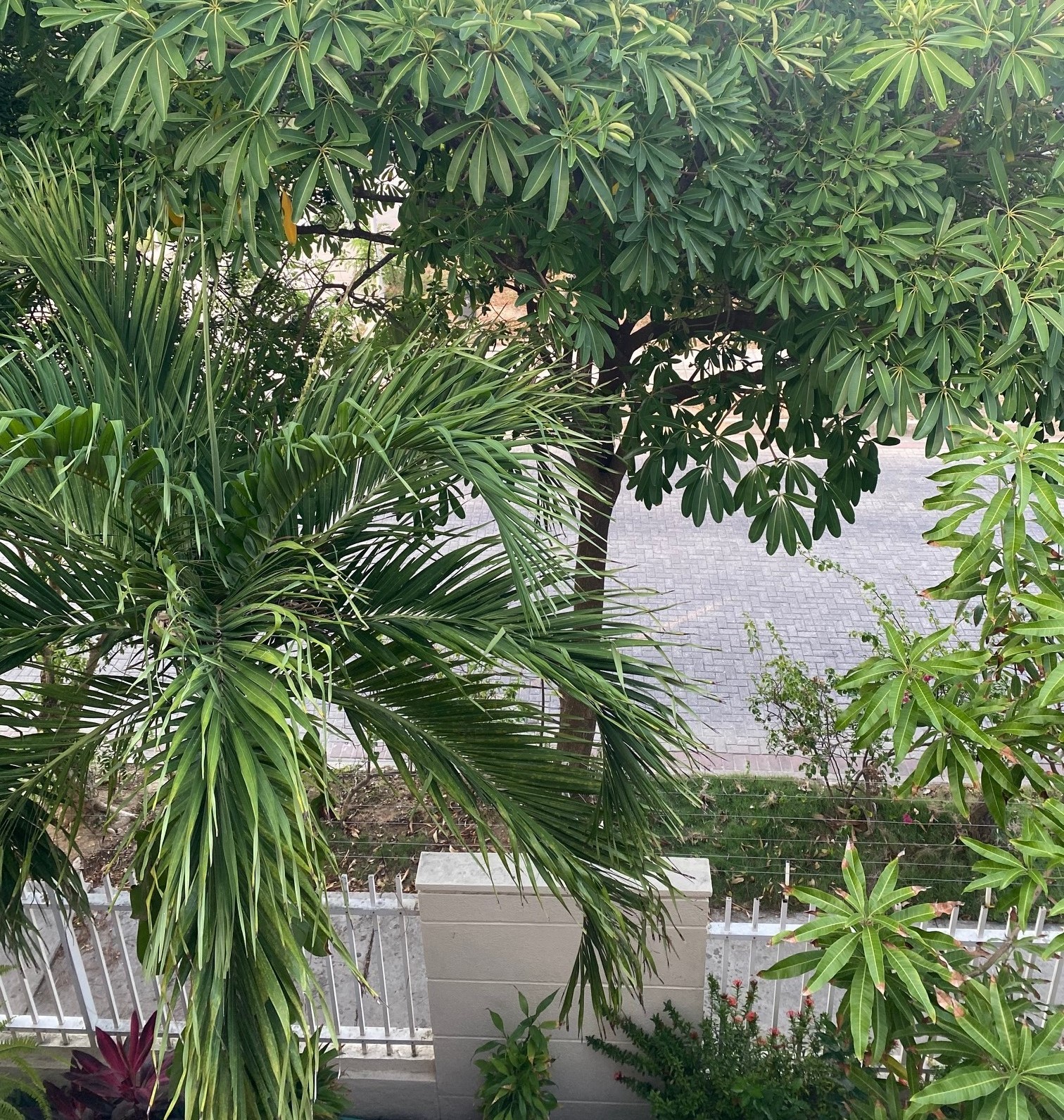 Casa en venta en Villa Carolina, Barranquilla · foto 24 de 24
