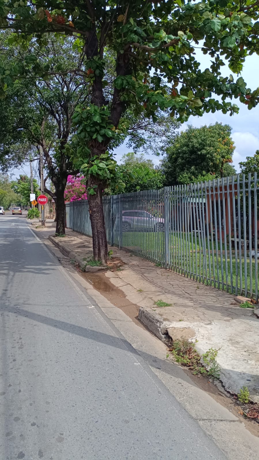 ? Estancia Corpus Christi – Zona Colonia Anahí, Canindeyú, Paraguay Una propiedad de 1.933 hectáreas + 1.587 m², con características ideales para proyectos agropecuarios y de inver - foto 2
