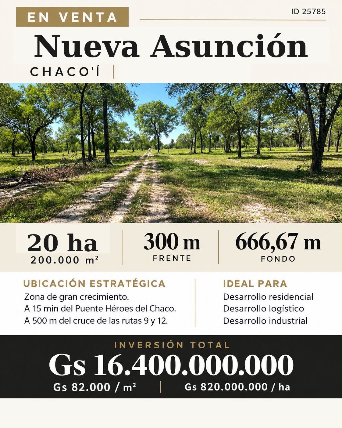 VENTA ! 20 HECTAREAS EN CHACO-I ZONA PUERTO FALCÓN SOBRE RUTA INTERNACIONAL - foto 1