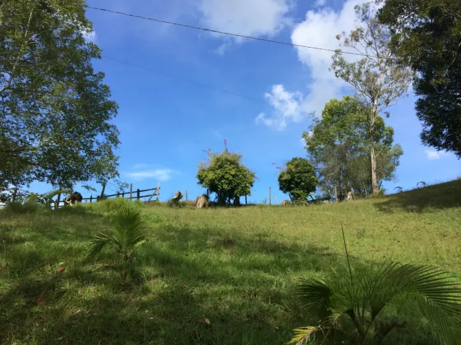 Casa de 4 alcobas en venta en Lomitas, La Ceja · foto 14 de 21