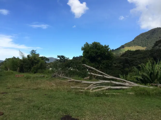 Casa de 4 alcobas en venta en Lomitas, La Ceja · foto 18 de 21