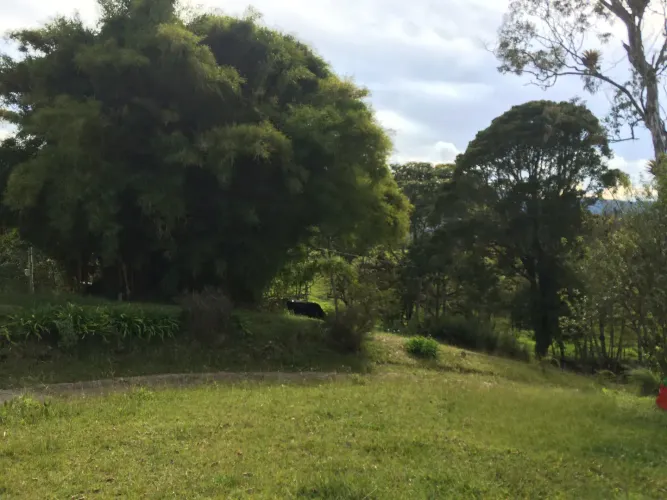Casa de 4 alcobas en venta en Lomitas, La Ceja · foto 21 de 21