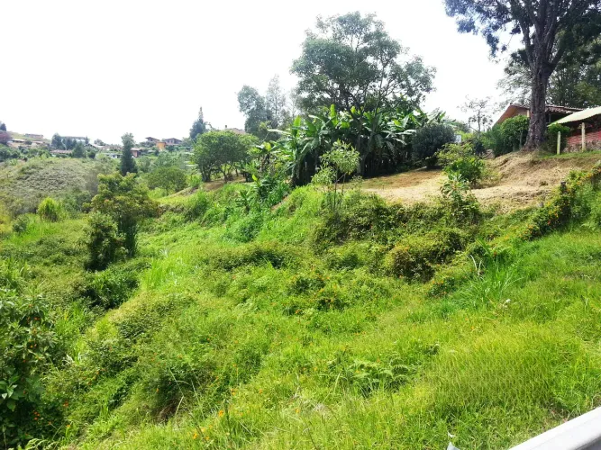 Lote en venta en Bellavista, Guarne, 26311 m² · foto 2 de 16