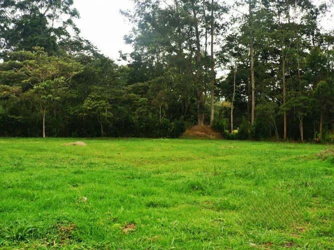 Lote en venta en Llano Grande, Rionegro, 3450 m² · foto 4 de 5