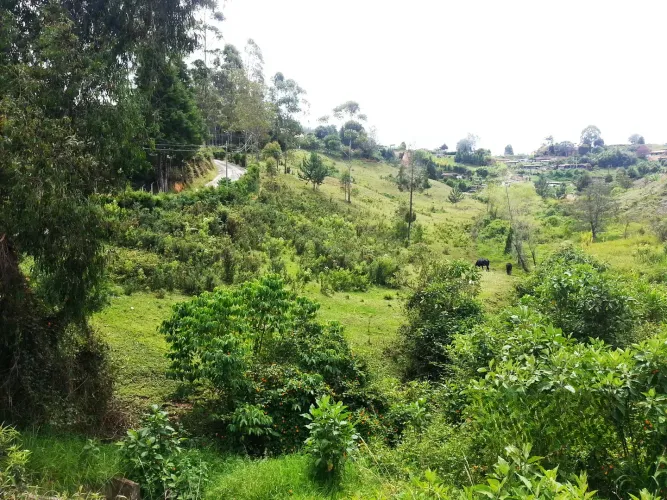 Lote en venta en Bellavista, Guarne, 26311 m² · foto 5 de 16