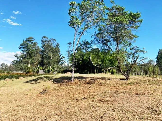 Lote en venta en Llano Grande, Rionegro, 3450 m² · foto 5 de 5