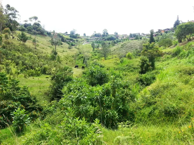 Lote en venta en Bellavista, Guarne, 26311 m² · foto 6 de 16