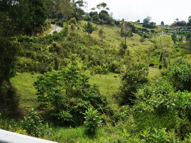 Lote en venta en Bellavista, Guarne, 26311 m² · foto 7 de 16