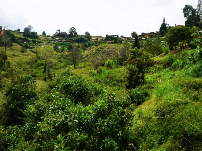 Lote en venta en Bellavista, Guarne, 26311 m² · foto 8 de 16