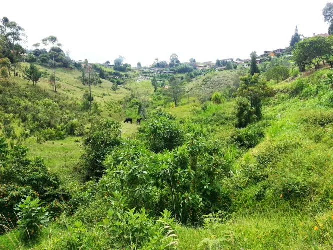 Lote en venta en Bellavista, Guarne, 26311 m² · foto 9 de 16