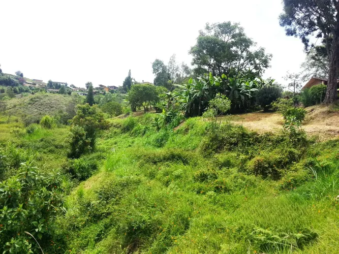 Lote en venta en Bellavista, Guarne, 26311 m² · foto 10 de 16
