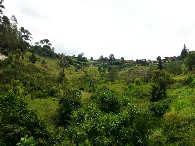 Lote en venta en Bellavista, Guarne, 26311 m² · foto 11 de 16