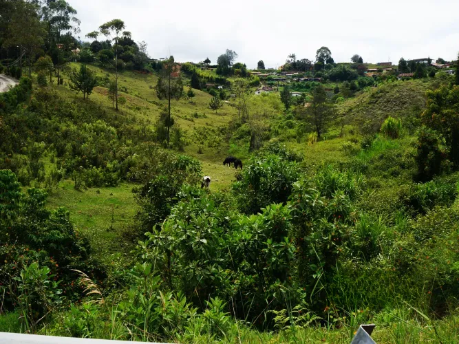 Lote en venta en Bellavista, Guarne, 26311 m² · foto 12 de 16