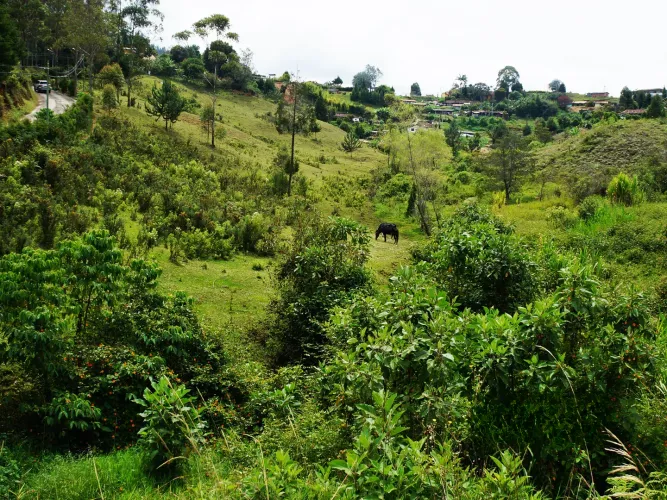 Lote en venta en Bellavista, Guarne, 26311 m² · foto 13 de 16