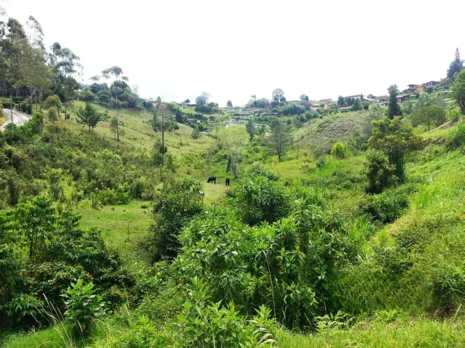 Lote en venta en Bellavista, Guarne, 26311 m² · foto 14 de 16