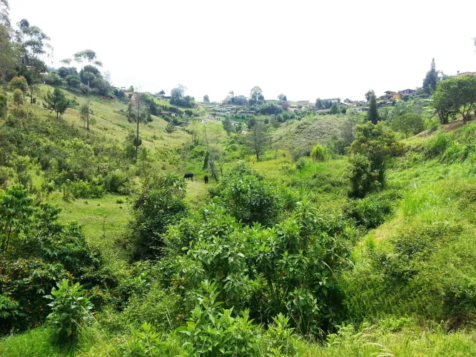 Lote en venta en Bellavista, Guarne, 26311 m² · foto 15 de 16
