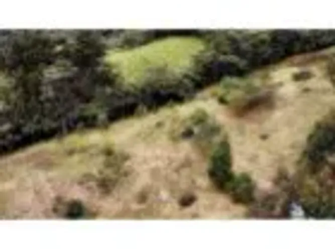 Lote en venta en Lomitas, La Ceja, 5000 m² · foto 2 de 11