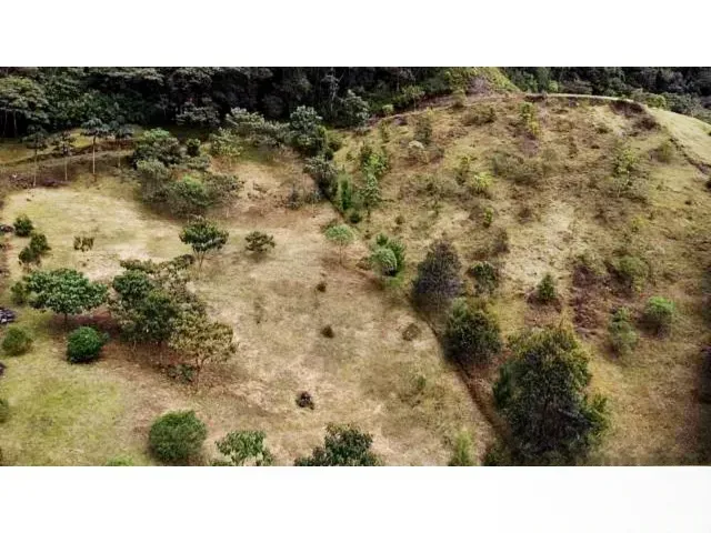 Lote en venta en Lomitas, La Ceja, 5000 m² · foto 3 de 11