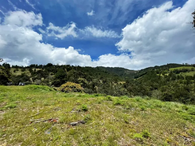 Lote en venta en El Retiro, 10031 m² · foto 2 de 9