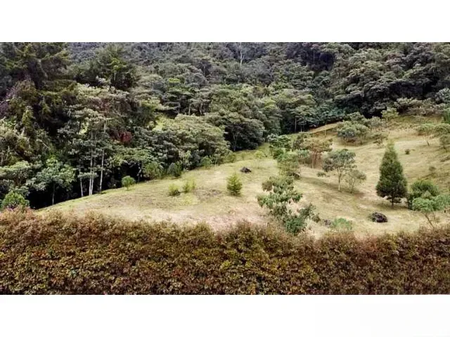 Lote en venta en Lomitas, La Ceja, 5000 m² · foto 4 de 11