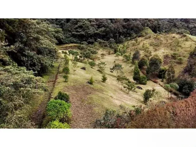Lote en venta en Lomitas, La Ceja, 5000 m² · foto 6 de 11