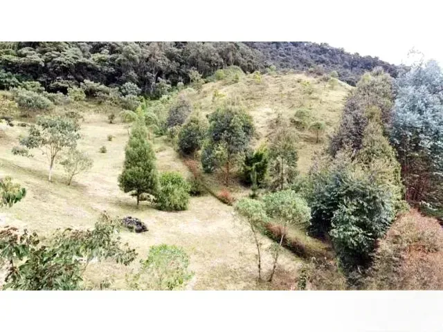 Lote en venta en Lomitas, La Ceja, 5000 m² · foto 7 de 11