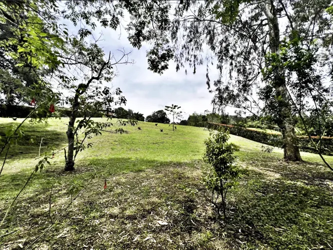 Lote en venta en Guamito, La Ceja, 3733 m² · foto 4 de 17