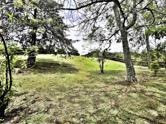 Lote en venta en Guamito, La Ceja, 3733 m² · foto 5 de 17