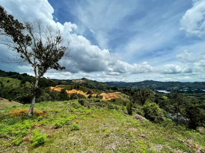 Lote en venta en El Retiro, 10031 m² · foto 7 de 9