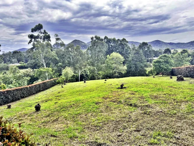 Lote en venta en Guamito, La Ceja, 3733 m² · foto 7 de 17