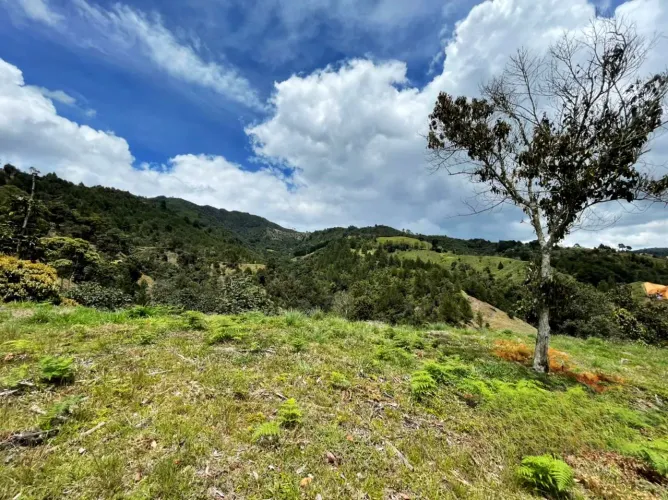 Lote en venta en El Retiro, 10031 m² · foto 9 de 9
