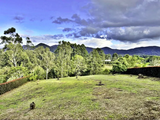 Lote en venta en Guamito, La Ceja, 3733 m² · foto 8 de 17