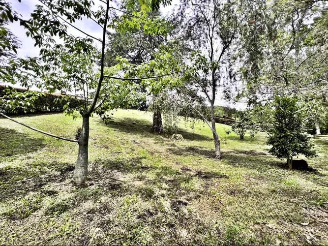 Lote en venta en Guamito, La Ceja, 3733 m² · foto 10 de 17