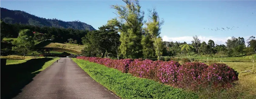 Lote en venta en Guamito, La Ceja, 3372 m² · foto 8 de 16