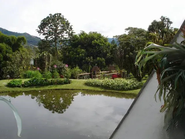 Finca en venta en El Porvenir, Rionegro, 13000 m² · foto 7 de 24