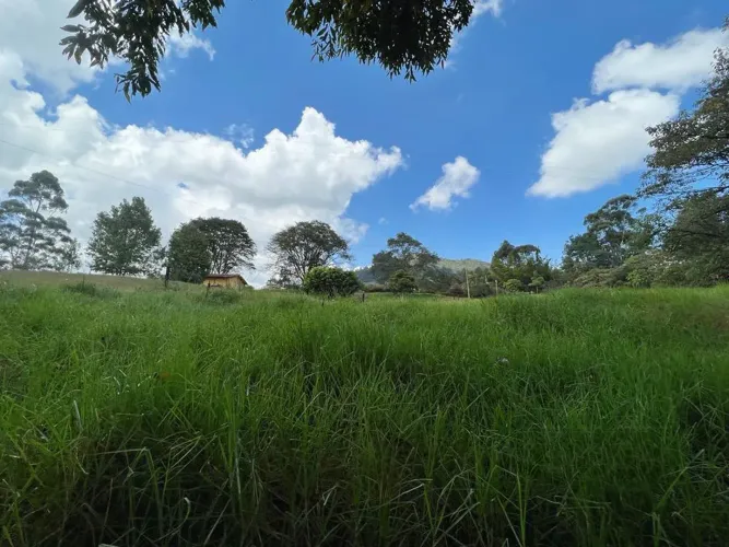 Finca en venta en El Tambo, La Ceja, 38000 m² · foto 2 de 8