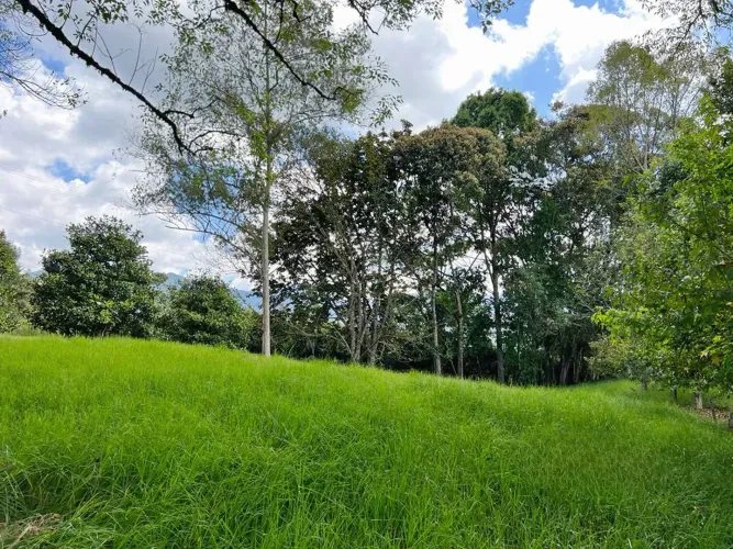 Finca en venta en El Tambo, La Ceja, 38000 m² · foto 4 de 8