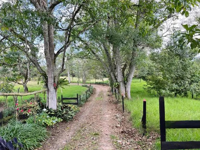 Finca en venta en El Tambo, La Ceja, 38000 m² · foto 5 de 8
