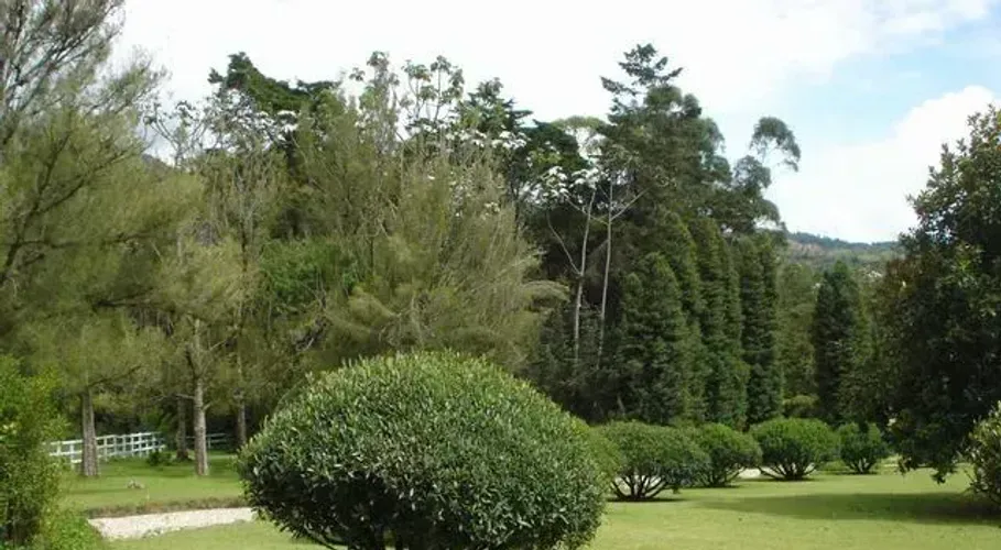 Finca en venta en El Porvenir, Rionegro, 13000 m² · foto 22 de 24