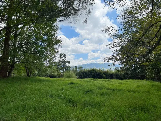 Finca en venta en El Tambo, La Ceja, 38000 m² · foto 8 de 8